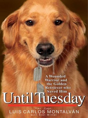 cover image of Until Tuesday